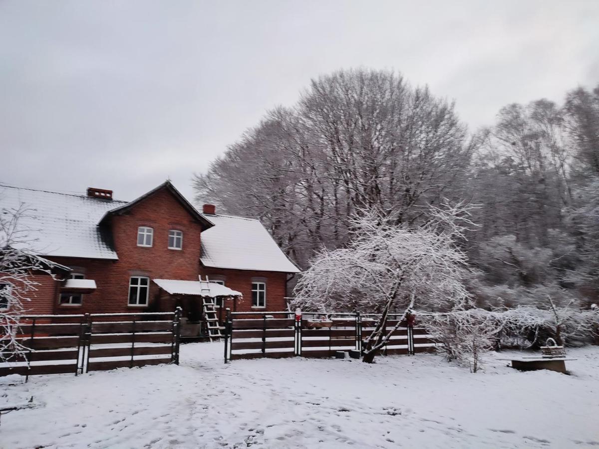 Zacisze Pod Bukami Daire Gornica Dış mekan fotoğraf
