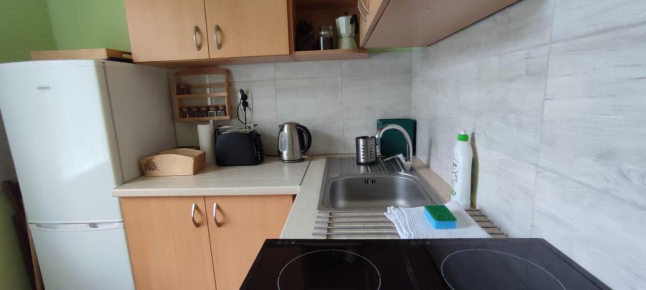 Zacisze Pod Bukami Daire Gornica Dış mekan fotoğraf
