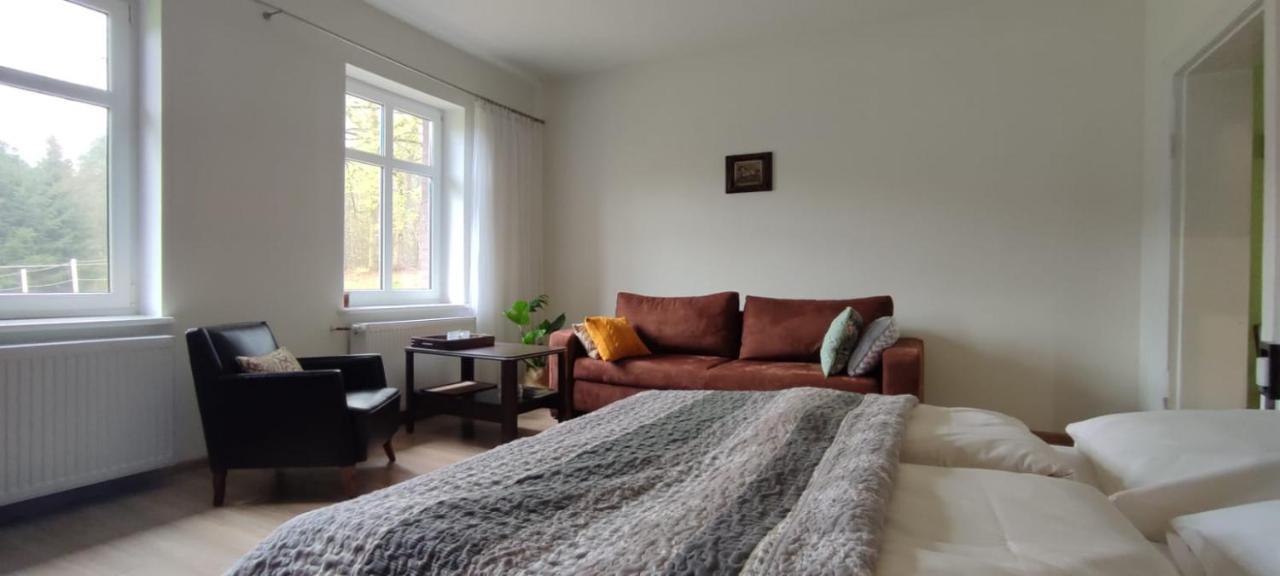 Zacisze Pod Bukami Daire Gornica Dış mekan fotoğraf